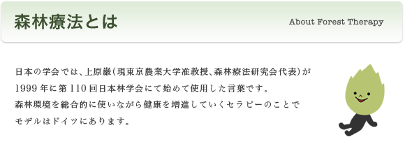 森林療法とは